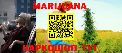 шишки Камышлов