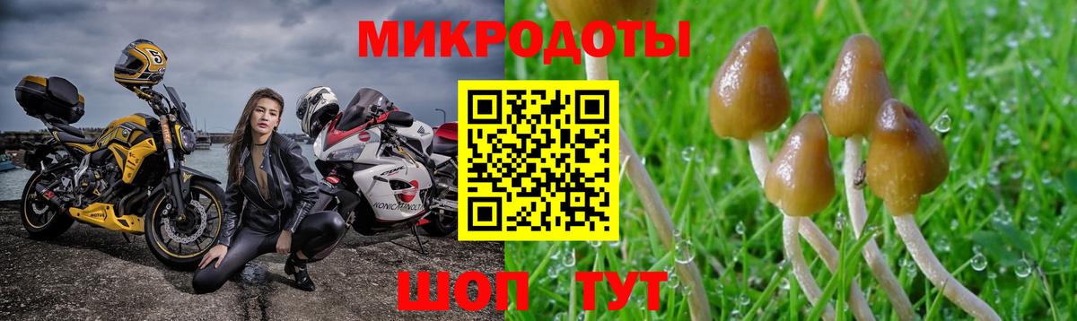 Псилоцибиновые грибы Magic Shrooms  Галлюциногенные грибы Psilocybe  Вход с VPN  Красноуфимск 